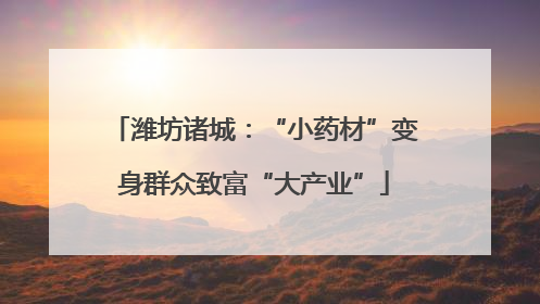 潍坊诸城：“小药材”变身群众致富“大产业”