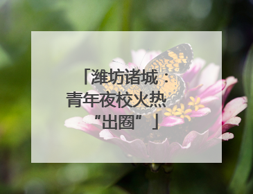 潍坊诸城：青年夜校火热“出圈”