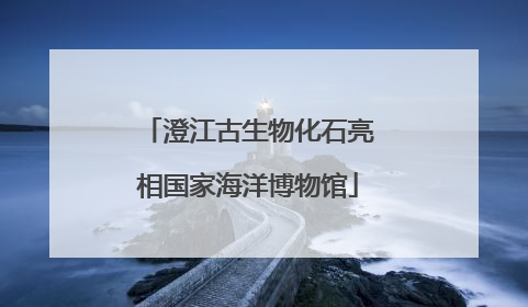 澄江古生物化石亮相国家海洋博物馆