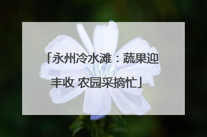 永州冷水滩：蔬果迎丰收 农园采摘忙