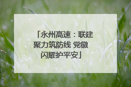 永州高速：联建聚力筑防线 党徽闪耀护平安