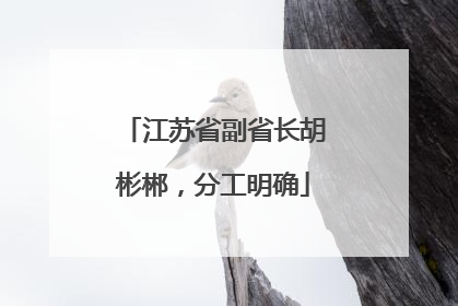 江苏省副省长胡彬郴，分工明确