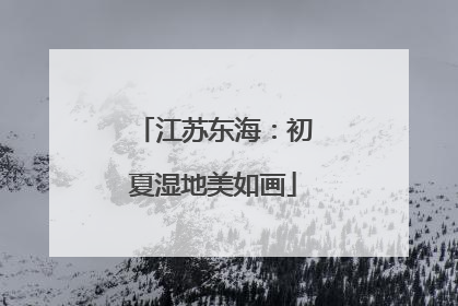 江苏东海：初夏湿地美如画