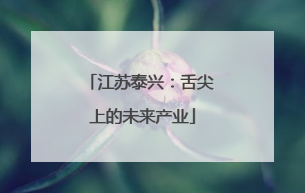 江苏泰兴：舌尖上的未来产业