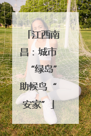 江西南昌：城市“绿岛”助候鸟“安家”