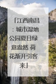 江西南昌：城市湿地公园夏日绿意盎然 荷花渐开引客来