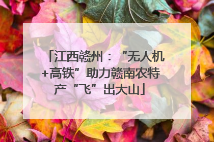 江西赣州：“无人机+高铁”助力赣南农特产“飞”出大山