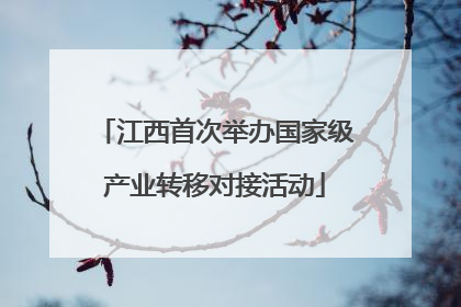 江西首次举办国家级产业转移对接活动