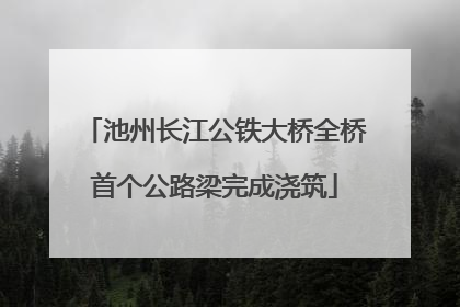 池州长江公铁大桥全桥首个公路梁完成浇筑