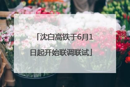 沈白高铁于6月1日起开始联调联试