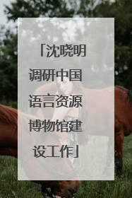 沈晓明调研中国语言资源博物馆建设工作