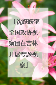 沈跃跃率全国政协视察团在吉林开展专题视察
