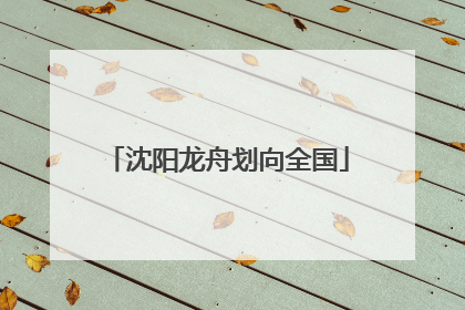 沈阳龙舟划向全国