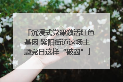 沉浸式党课激活红色基因 紫阳街道这场主题党日这样“破圈”