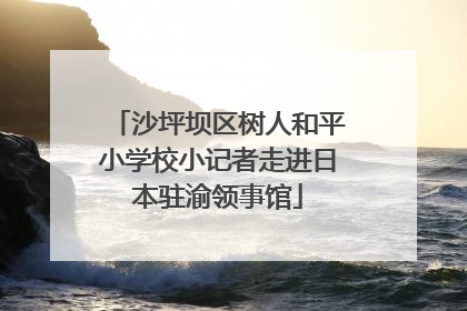 沙坪坝区树人和平小学校小记者走进日本驻渝领事馆
