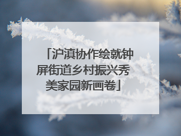 沪滇协作绘就钟屏街道乡村振兴秀美家园新画卷