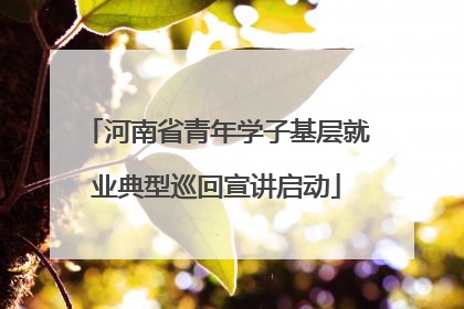 河南省青年学子基层就业典型巡回宣讲启动