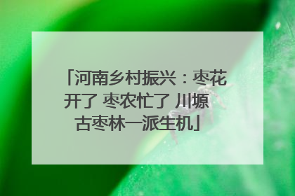 河南乡村振兴：枣花开了 枣农忙了 川塬古枣林一派生机