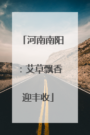 河南南阳：艾草飘香迎丰收