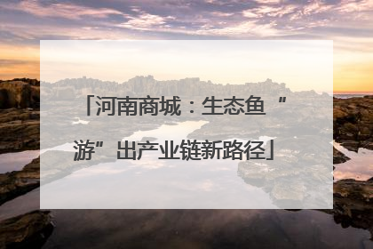 河南商城：生态鱼“游”出产业链新路径