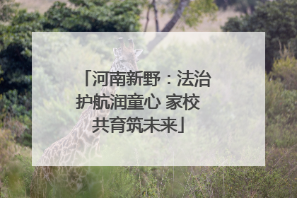 河南新野：法治护航润童心 家校共育筑未来