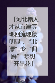 河北籍人才从京津等地回流现象明显，“北漂”变“归雁” 梦想开出花