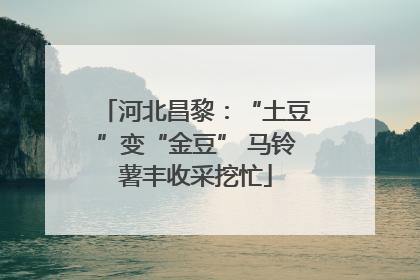 河北昌黎：“土豆”变“金豆” 马铃薯丰收采挖忙