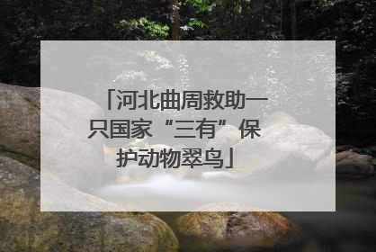 河北曲周救助一只国家“三有”保护动物翠鸟