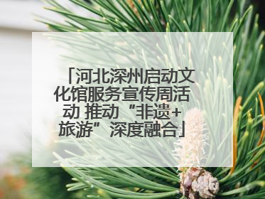 河北深州启动文化馆服务宣传周活动 推动“非遗+旅游”深度融合