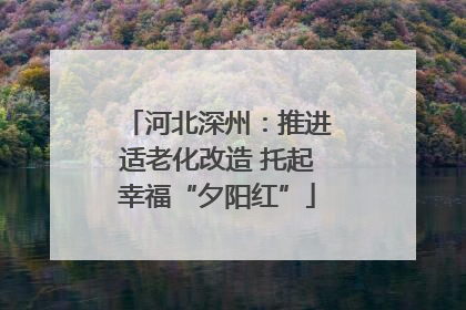 河北深州：推进适老化改造 托起幸福“夕阳红”