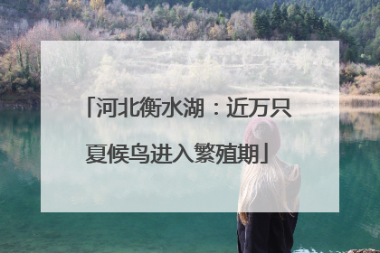 河北衡水湖：近万只夏候鸟进入繁殖期