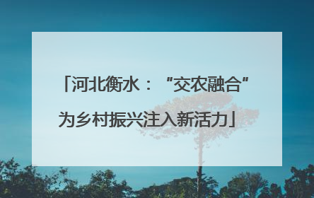 河北衡水：“交农融合”为乡村振兴注入新活力
