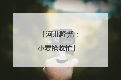 河北隆尧：小麦抢收忙