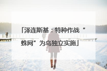 泽连斯基：特种作战“蛛网”为乌独立实施