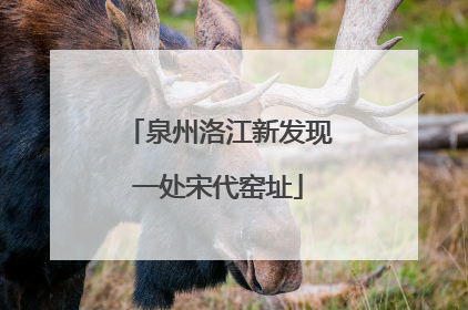 泉州洛江新发现一处宋代窑址