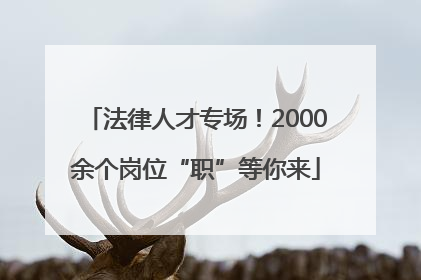 法律人才专场！2000余个岗位“职”等你来