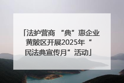 法护营商 “典”惠企业 黄陂区开展2025年“民法典宣传月”活动