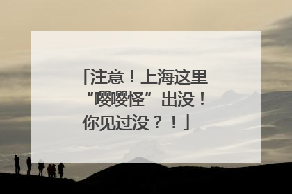 注意！上海这里“嘤嘤怪”出没！你见过没？！