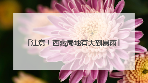注意！西藏局地有大到暴雨