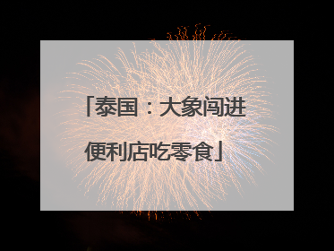 泰国：大象闯进便利店吃零食