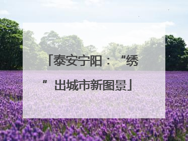 泰安宁阳：“绣”出城市新图景