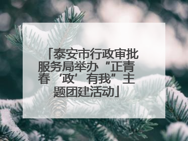 泰安市行政审批服务局举办“正青春‘政’有我”主题团建活动