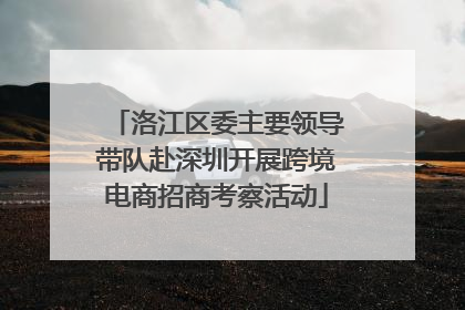 洛江区委主要领导带队赴深圳开展跨境电商招商考察活动