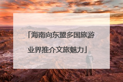 海南向东盟多国旅游业界推介文旅魅力
