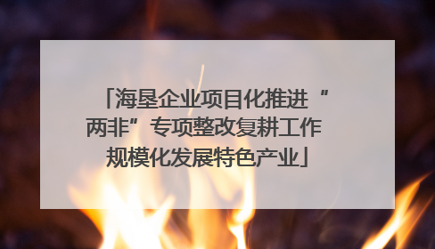 海垦企业项目化推进“两非”专项整改复耕工作 规模化发展特色产业