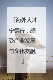 海外人才宁德行：感受产业发展与文化交融