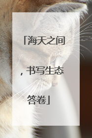 海天之间，书写生态答卷