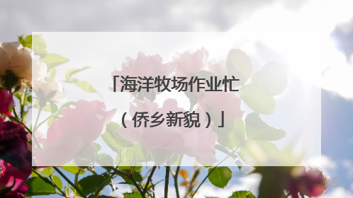 海洋牧场作业忙（侨乡新貌）