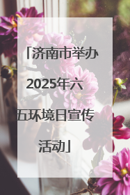济南市举办2025年六五环境日宣传活动