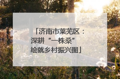 济南市莱芜区：深耕“一株桑” 绘就乡村振兴图